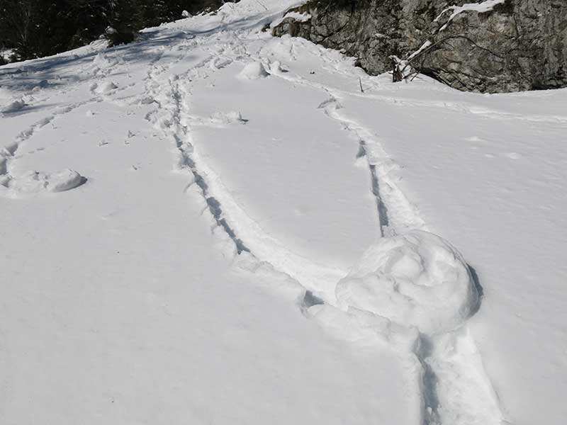 Buchbergkogel